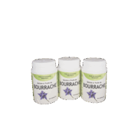 cure de bourrache