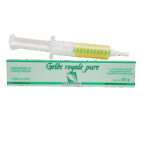 Gelée Royale pure 10g