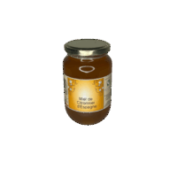 Miel de citronnier