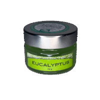 diffuseur eucalyptus